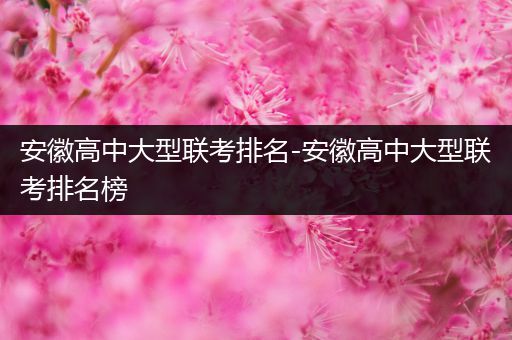 安徽高中大型联考排名-安徽高中大型联考排名榜