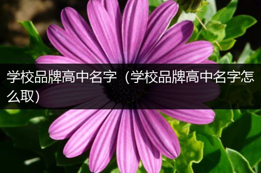 学校品牌高中名字（学校品牌高中名字怎么取）