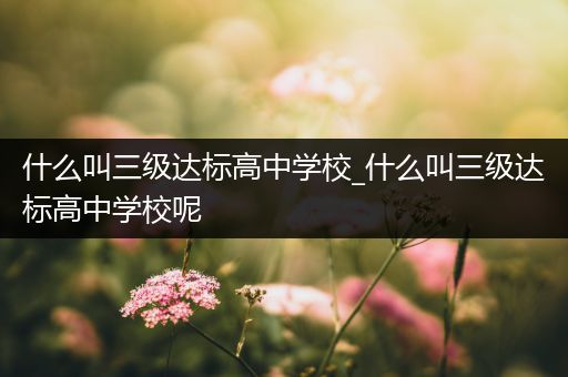 什么叫三级达标高中学校_什么叫三级达标高中学校呢