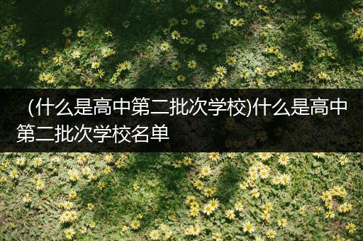 （什么是高中第二批次学校)什么是高中第二批次学校名单