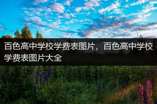 百色高中学校学费表图片，百色高中学校学费表图片大全