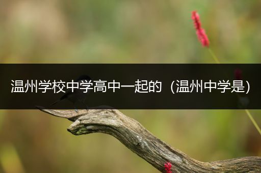 温州学校中学高中一起的（温州中学是）
