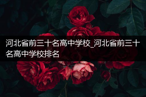 河北省前三十名高中学校_河北省前三十名高中学校排名