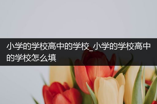 小学的学校高中的学校_小学的学校高中的学校怎么填