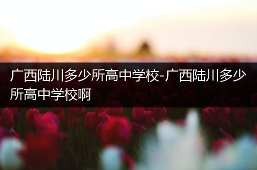 广西陆川多少所高中学校-广西陆川多少所高中学校啊