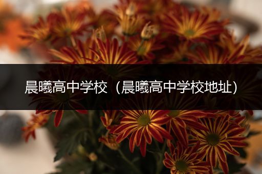 晨曦高中学校（晨曦高中学校地址）