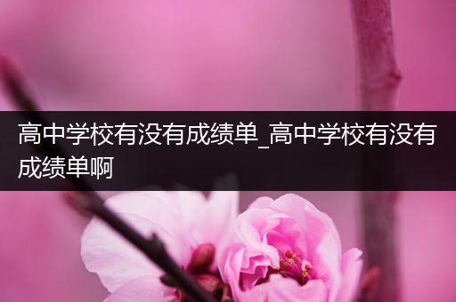 高中学校有没有成绩单_高中学校有没有成绩单啊