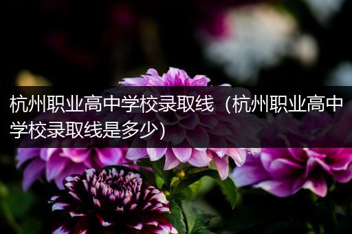 杭州职业高中学校录取线（杭州职业高中学校录取线是多少）