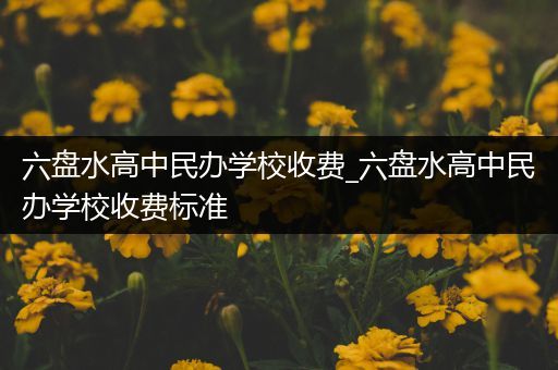 六盘水高中民办学校收费_六盘水高中民办学校收费标准