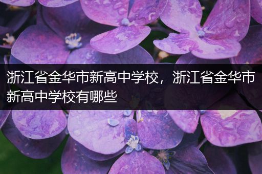 浙江省金华市新高中学校，浙江省金华市新高中学校有哪些