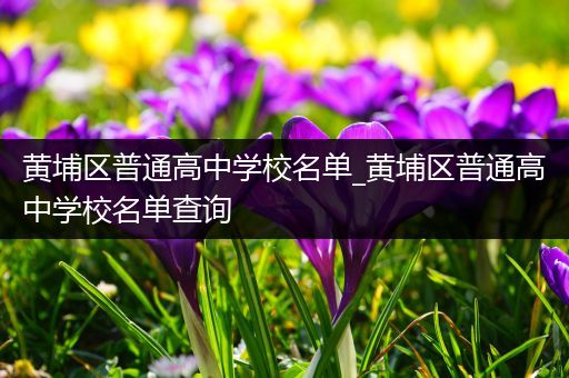 黄埔区普通高中学校名单_黄埔区普通高中学校名单查询