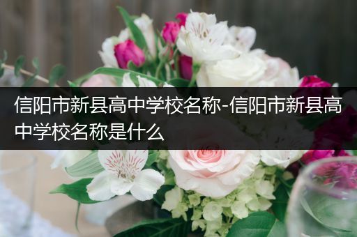 信阳市新县高中学校名称-信阳市新县高中学校名称是什么