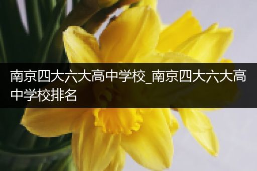 南京四大六大高中学校_南京四大六大高中学校排名