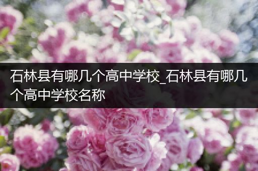 石林县有哪几个高中学校_石林县有哪几个高中学校名称