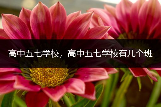 高中五七学校，高中五七学校有几个班