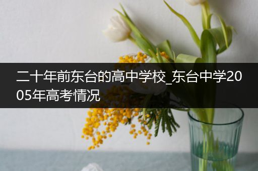 二十年前东台的高中学校_东台中学2005年高考情况