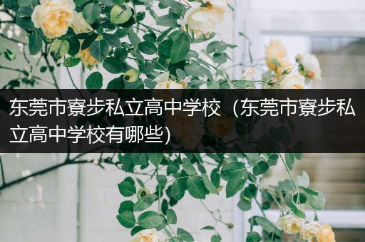 东莞市寮步私立高中学校（东莞市寮步私立高中学校有哪些）
