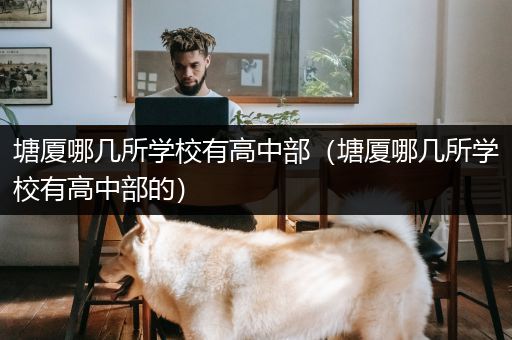 塘厦哪几所学校有高中部（塘厦哪几所学校有高中部的）