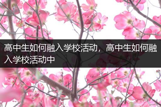 高中生如何融入学校活动，高中生如何融入学校活动中
