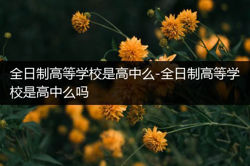 全日制高等学校是高中么-全日制高等学校是高中么吗