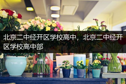 北京二中经开区学校高中，北京二中经开区学校高中部
