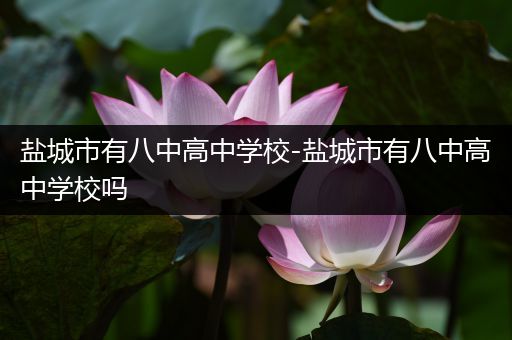 盐城市有八中高中学校-盐城市有八中高中学校吗