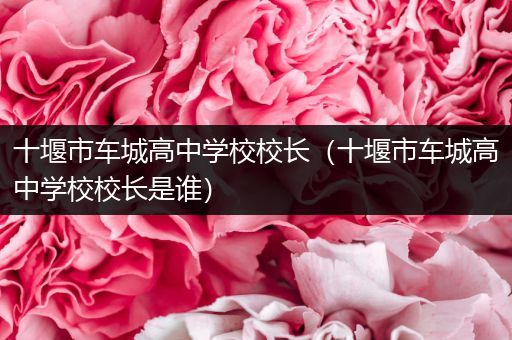十堰市车城高中学校校长（十堰市车城高中学校校长是谁）