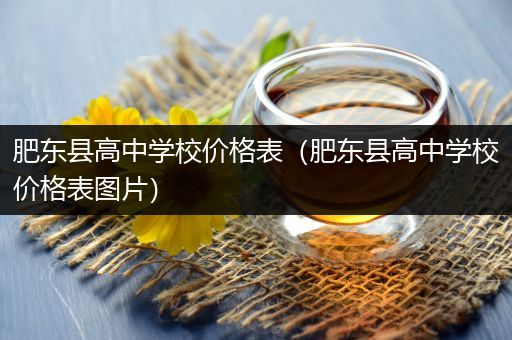 肥东县高中学校价格表（肥东县高中学校价格表图片）