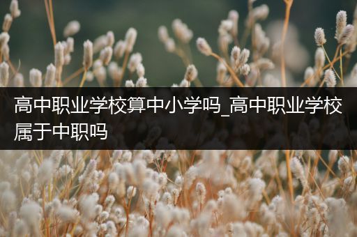 高中职业学校算中小学吗_高中职业学校属于中职吗