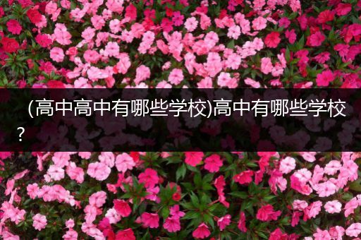 （高中高中有哪些学校)高中有哪些学校?