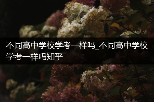 不同高中学校学考一样吗_不同高中学校学考一样吗知乎