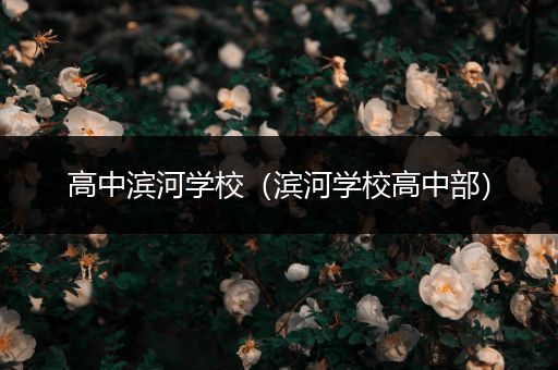 高中滨河学校（滨河学校高中部）