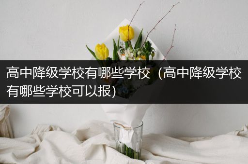 高中降级学校有哪些学校（高中降级学校有哪些学校可以报）