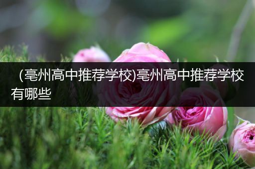 （亳州高中推荐学校)亳州高中推荐学校有哪些