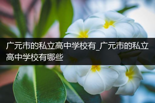 广元市的私立高中学校有_广元市的私立高中学校有哪些