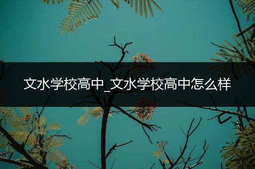 文水学校高中_文水学校高中怎么样