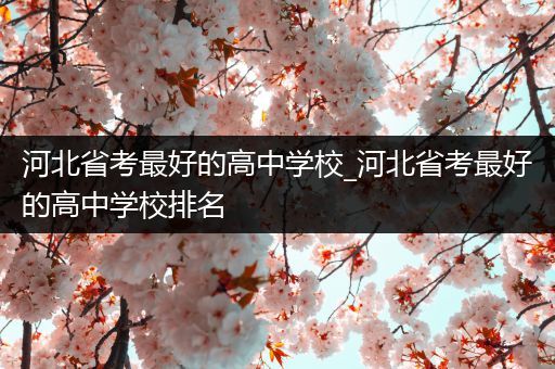 河北省考最好的高中学校_河北省考最好的高中学校排名