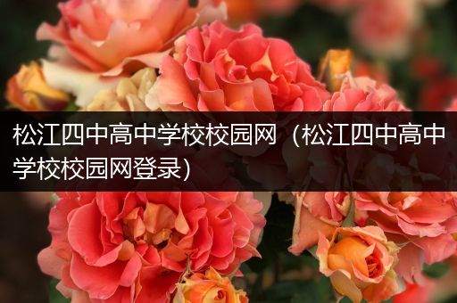 松江四中高中学校校园网（松江四中高中学校校园网登录）