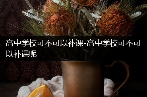 高中学校可不可以补课-高中学校可不可以补课呢