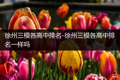 徐州三模各高中排名-徐州三模各高中排名一样吗