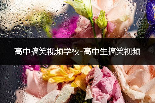 高中搞笑视频学校-高中生搞笑视频