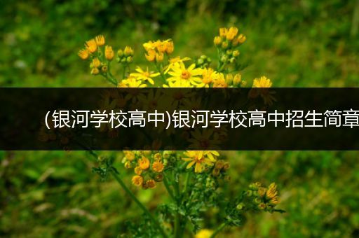 （银河学校高中)银河学校高中招生简章