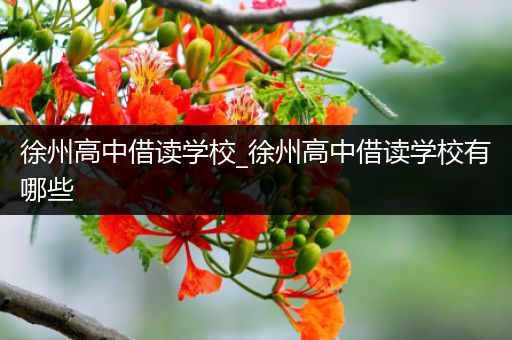 徐州高中借读学校_徐州高中借读学校有哪些