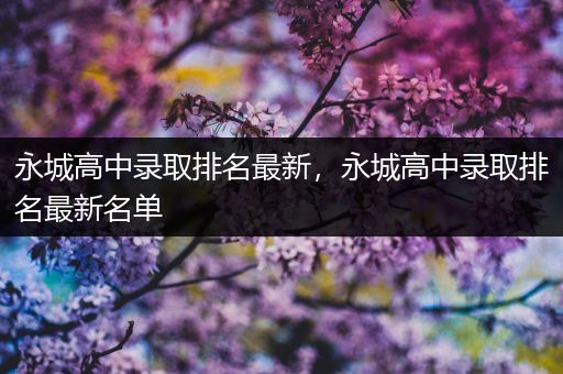 永城高中录取排名最新，永城高中录取排名最新名单