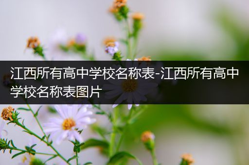 江西所有高中学校名称表-江西所有高中学校名称表图片