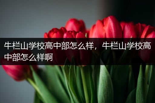 牛栏山学校高中部怎么样，牛栏山学校高中部怎么样啊