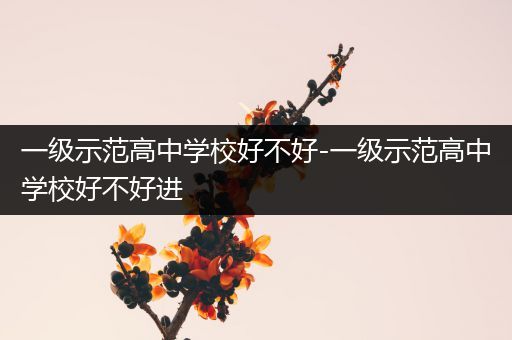 一级示范高中学校好不好-一级示范高中学校好不好进