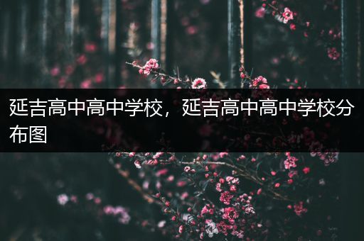 延吉高中高中学校，延吉高中高中学校分布图