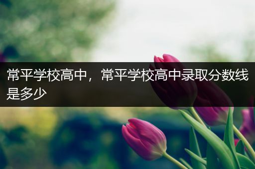 常平学校高中，常平学校高中录取分数线是多少