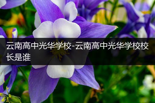 云南高中光华学校-云南高中光华学校校长是谁